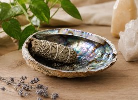 Naturlig abaloneskal til smudging med salvie i en harmonisk opstilling.
