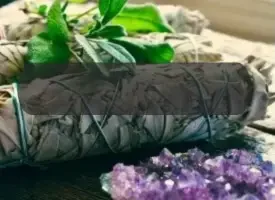 Billede af en hvid salvie og diverse urter og en ametyst krystal