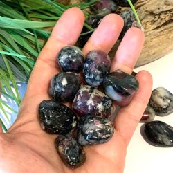 Eudialyt lommesten | Ml ca. 2,5 - 3 cm