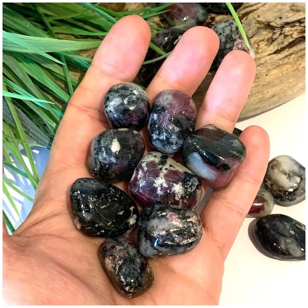 Eudialyt lommesten | Ml ca. 2,5 - 3 cm