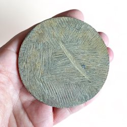 Goniatit fossil | UNIKA | Ml 7,4 cm