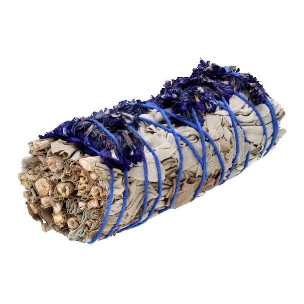 Hvid Salvie Smudge Stick 10-11 cm med Bl Sinuata til Energi og Rensning