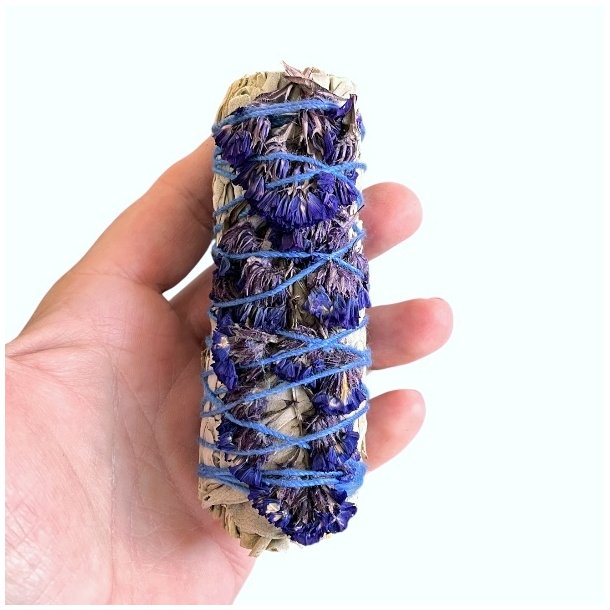 Hvid Salvie Smudge Stick 10-11 cm med Bl Sinuata til Energi og Rensning