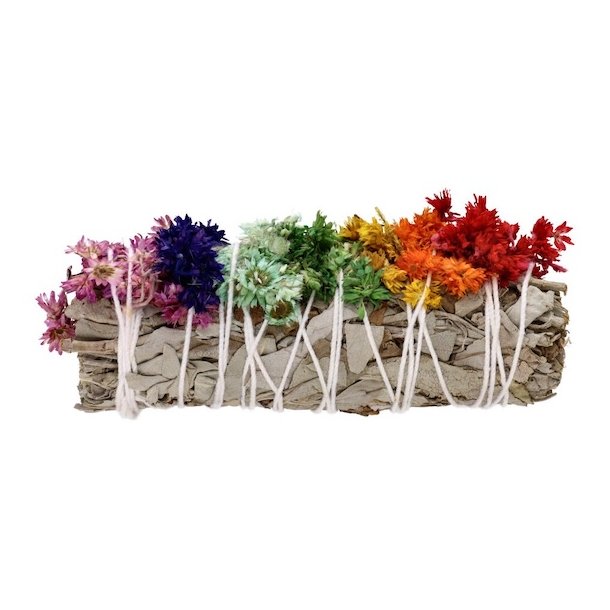 Hvid Salvie Smudge Stick 10-11 cm med Mullein og 7 Chakrafarver