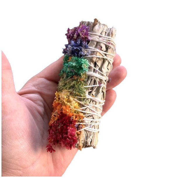 Hvid Salvie Smudge Stick 10-11 cm med Mullein og 7 Chakrafarver