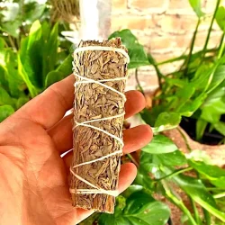 Smudgekit til renselse og beskyttelse med salvie, shungit og hellig rgelse