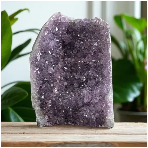 Smuk og unik druzy ametystklynge  1405 g r krystal fra Uruguay 12,6 x 9,5 cm