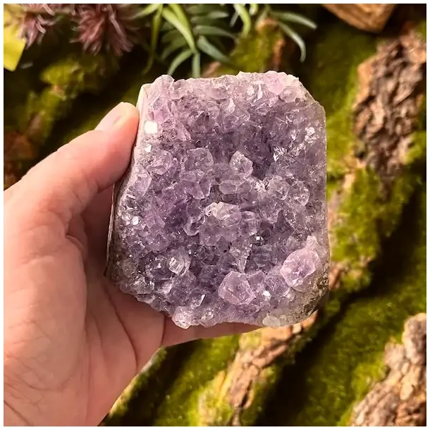 Smuk og unik druzy ametystklynge  584 g r krystal fra Uruguay 8 x 7,5 cm