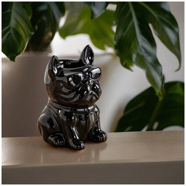 Aromalampe designet som fransk bulldog - 15 x 10,5 cm