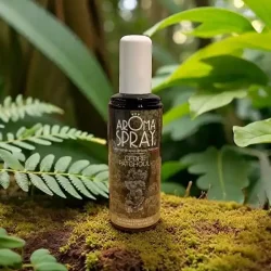 �kologisk Aromaspray Cedertr� &amp; Patchouli � Grounding, Rens &amp; Jordforbindelse | 100 ml