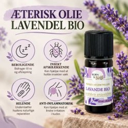 Born to Bio lavendelolie med information om aromatisk anvendelse og produktets egenskaber.