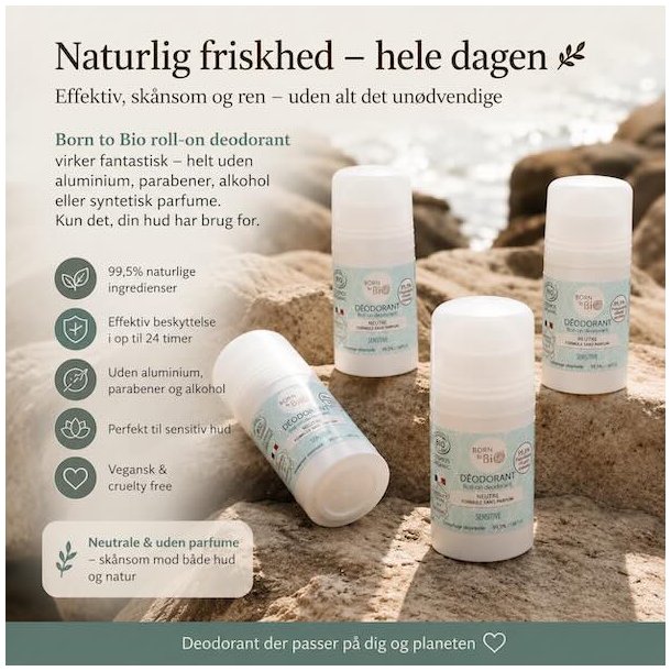 Born to Bio parfumefri roll-on deodorant med naturlige ingredienser placeret p� klipper ved stranden i rolig og naturlig livsstilsops�tning