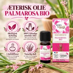 Born to Bio Palmarosa Bio �terisk olie med gr�nne blade og lyser�de palmarosablomster.