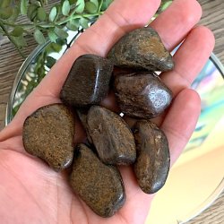 Bronzit lommesten, Flade,  Ml 2,5 - 3 cm