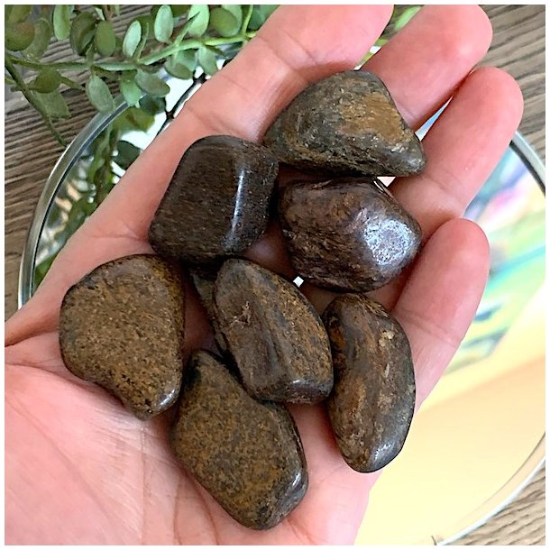 Bronzit lommesten, Flade,  Ml 2,5 - 3 cm