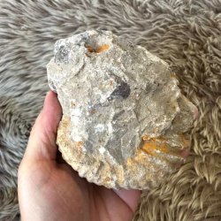 Marokkansk ammonitfossil til udstilling eller samling, 582 gram.