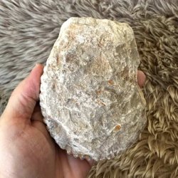 Naturhistorisk samlerobjekt med ammonitfossil fra Marokko, 470 gram.