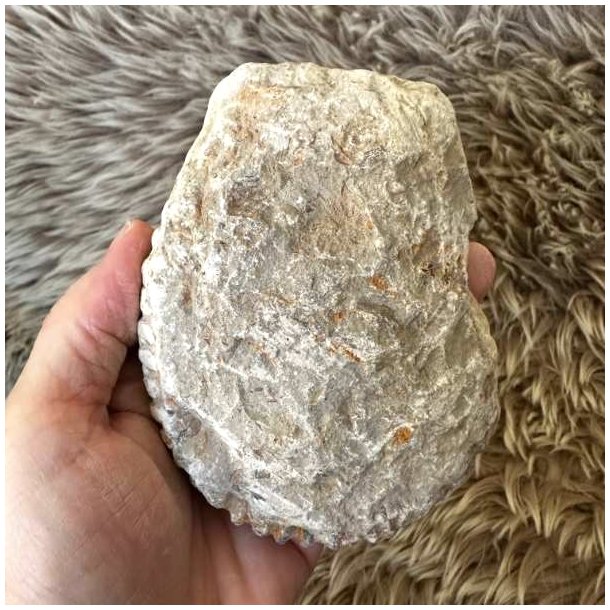 Naturhistorisk samlerobjekt med ammonitfossil fra Marokko, 470 gram.