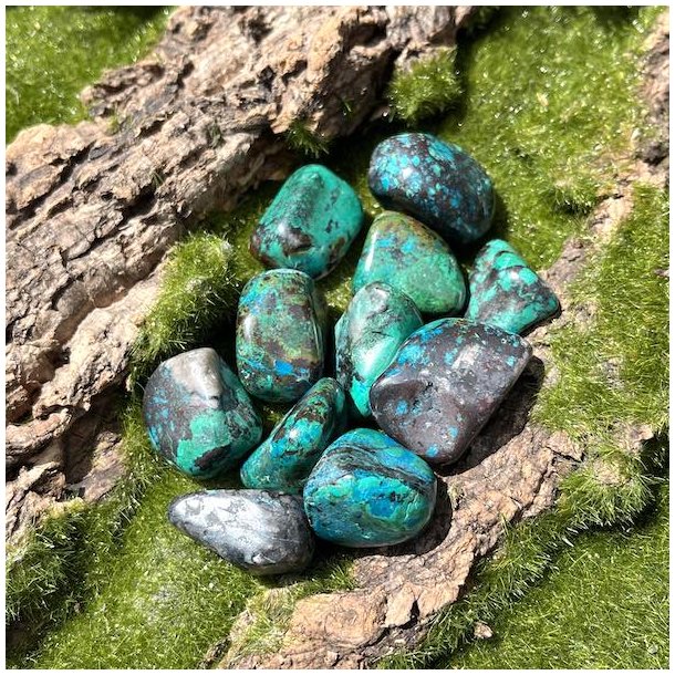 Chrysocolla lommesten,  M�l ca. 2,5 - 3 cm