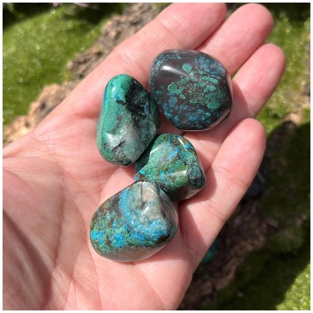 Chrysocolla lommesten,  Ml ca. 2,5 - 3 cm