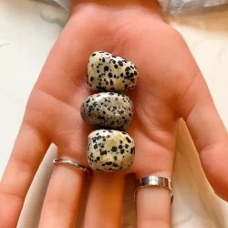 Dalmatiner Jaspis Lommesten 2,5 cm  Unik Krystal til Balance, Energi og Harmoni