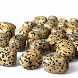 Dalmatiner Jaspis Lommesten 2,5 cm  Unik Krystal til Balance, Energi og Harmoni