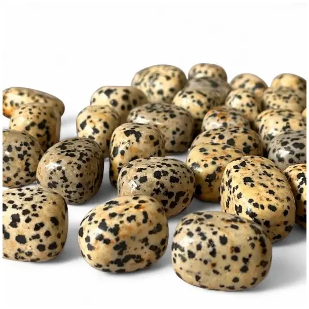 Dalmatiner Jaspis Lommesten 2,5 cm  Unik Krystal til Balance, Energi og Harmoni