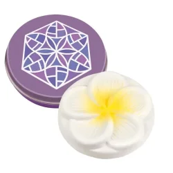 Mini Frangipani duftsten i metal�ske �5 cm � diskret og dekorativ diffuser til �teriske olier