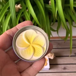 Mini Frangipani duftsten i metalske 5 cm  diskret og dekorativ diffuser til teriske olier
