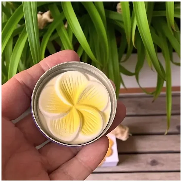 Mini Frangipani duftsten i metal�ske �5 cm � diskret og dekorativ diffuser til �teriske olier
