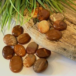 Forstenet tr� | lommesten | M�l ca.  2,5 - 3 cm