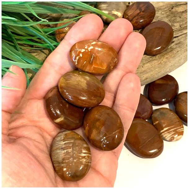 Forstenet tr� | lommesten | M�l ca.  2,5 - 3 cm