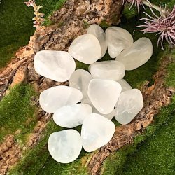 Girasol lommesten | Ml ca 3 - 4 cm