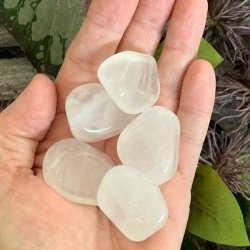 Girasol lommesten | Ml ca 3 - 4 cm