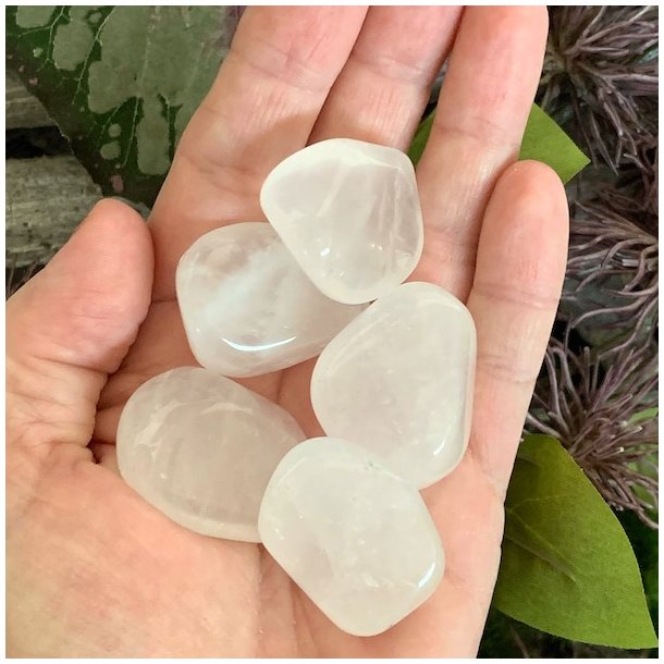 Girasol lommesten | Ml ca 3 - 4 cm