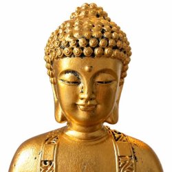 N�rbillede af Buddha figurens ansigt med gylden overflade og kr�llet h�r