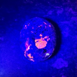 Yooperlite h�ndsten UNIKA | fluorescerende | M�l 6 x 5 cm