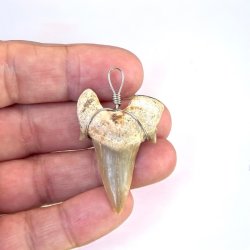 Hajtnder som vedhng i super fin kvalitet, Ml imellem 2,5 -3 cm