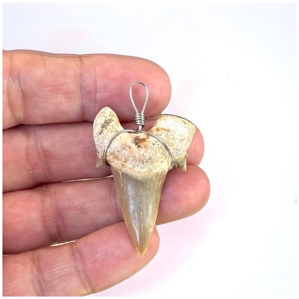 Hajtnder som vedhng i super fin kvalitet, Ml imellem 2,5 -3 cm