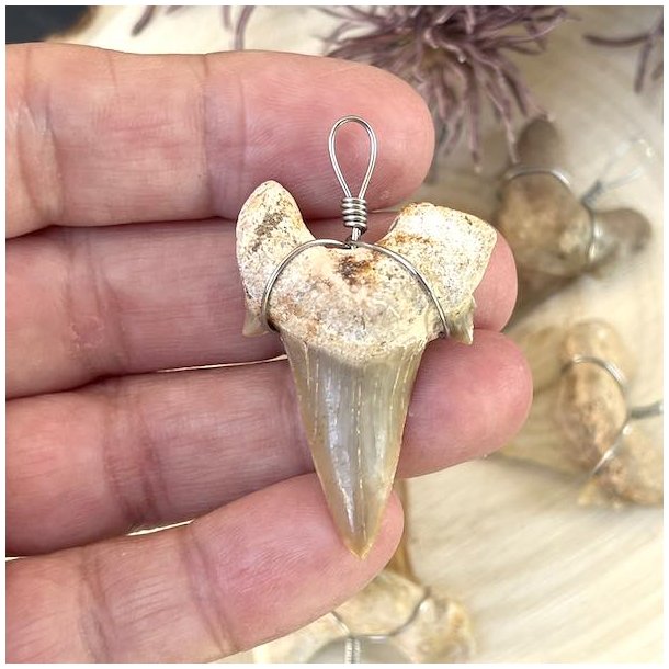 Hajtnder som vedhng i super fin kvalitet, Ml imellem 2,5 -3 cm