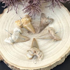 Hajtnder som vedhng i super fin kvalitet, Ml imellem 2,5 -3 cm