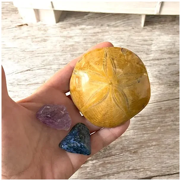 Havvisdom &amp; Indre Ro  krystalkit med bl dumortierit, r ametyst og sanddollar