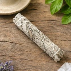 Hvid salvie smudge stick 18 cm p� naturbord omgivet af gr�nne planter &ndash; h�ndbundet salviebundt til smudging og energirensning.