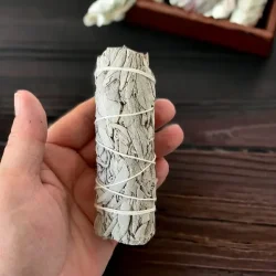 Hvid salvie smudge | Ml ca. 10,5 -11 cm