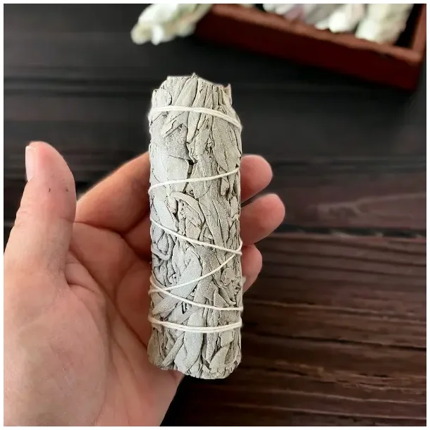 Hvid salvie smudge | Ml ca. 10,5 -11 cm