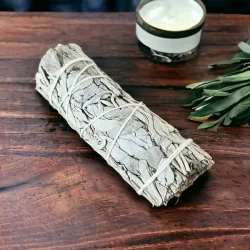 Hvid salvie smudge | Ml ca. 10,5 -11 cm