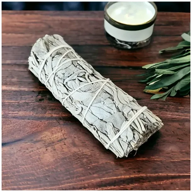 Hvid salvie smudge | Ml ca. 10,5 -11 cm