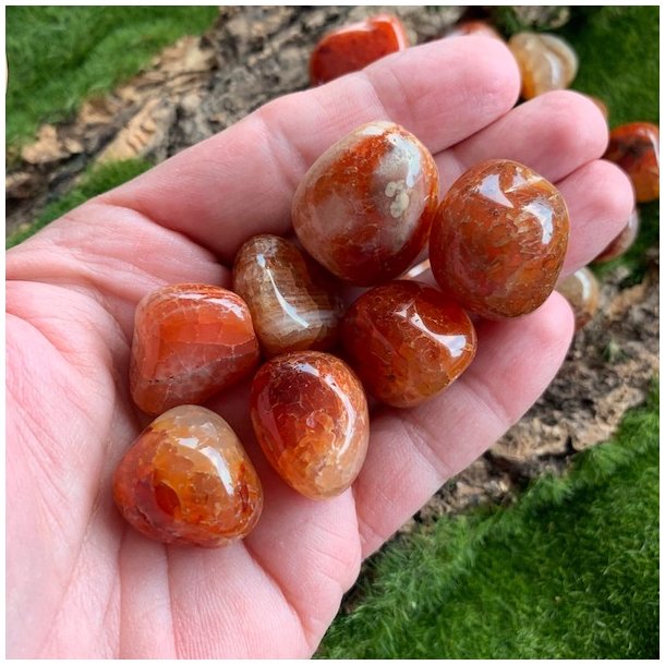 Ildagat slangeskind | lommesten | M�l 2 - 3 cm