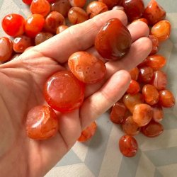 Polerede karneol lommesten i h�nden med orange farver