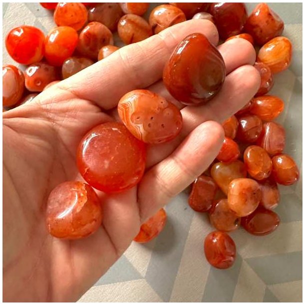 Polerede karneol lommesten i h�nden med orange farver
